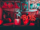 unsplash_DToXMncNxlc_acrobat circus