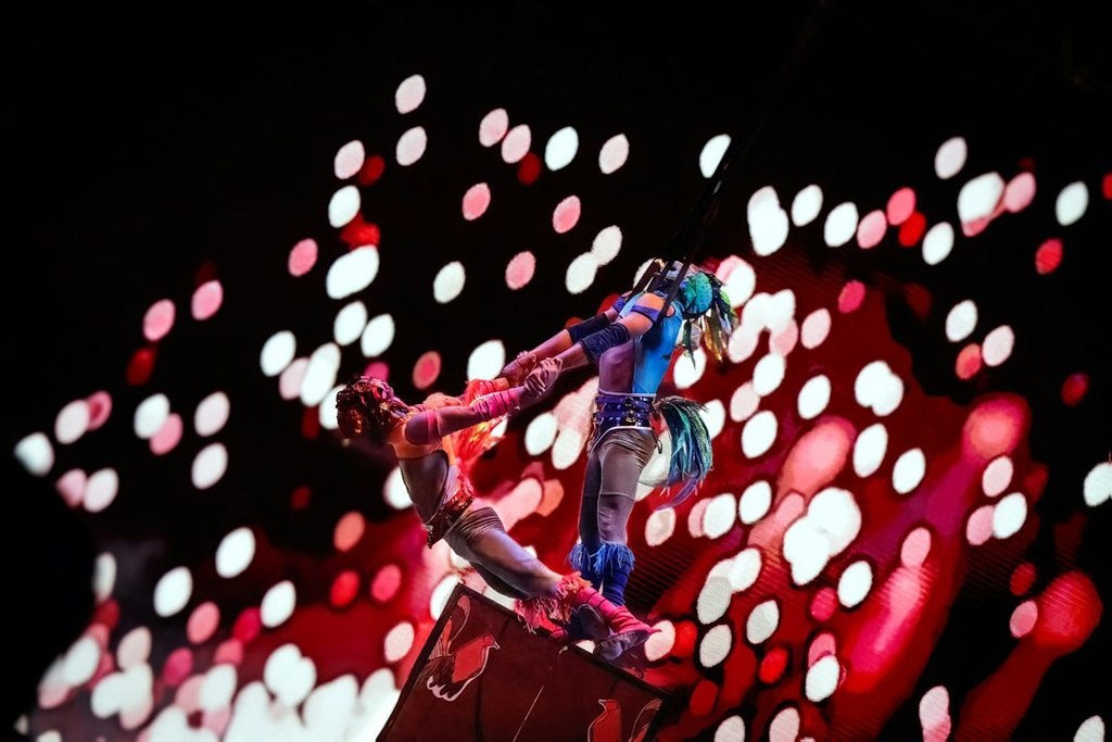 unsplash_J6ctfElqfqk_acrobat circus