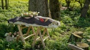 unsplash_Nn4U0nnPtQY_funeral flowers