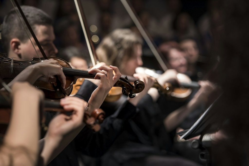 unsplash_slbOcNlWNHA_string quartet