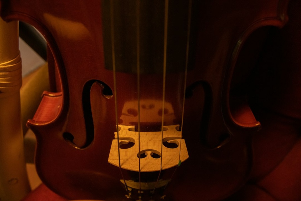unsplash_3jCIFXme9iw_string quartet