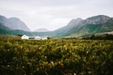 unsplash_AJjaMQeLUak_rural homestead africa