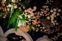 unsplash_KpCFWiswuqY_wedding ceiling draping