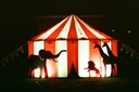 unsplash__NBfWI2g7YA_circus tent