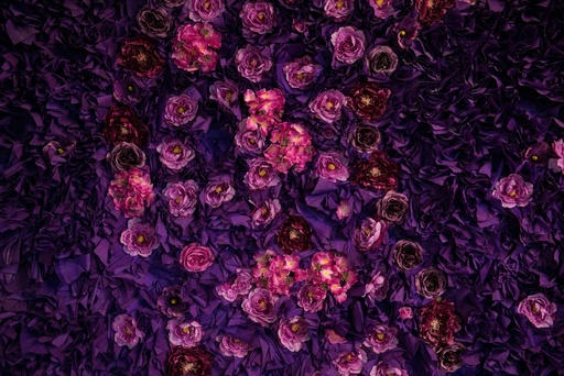 unsplash_MmuKHFVZ4ss_flower wall