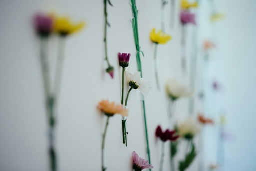 unsplash_Ief5YTTNak4_flower wall
