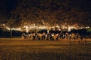 unsplash_Xaz9hnAl7qg_string lights wedding reception