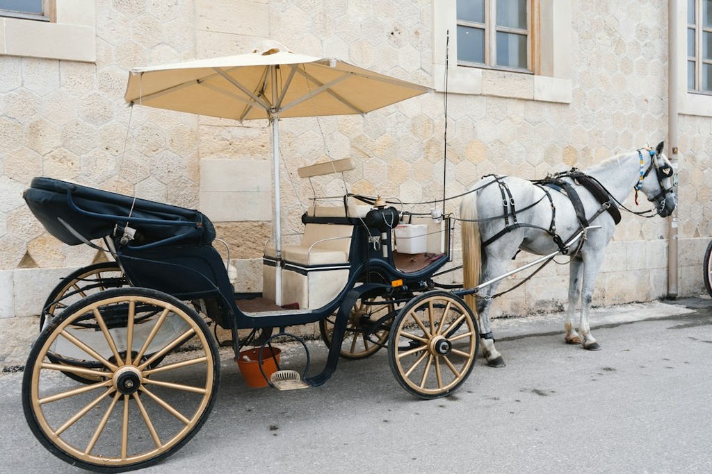unsplash_HKIQxmTKNY4_horse carriage wedding