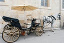 unsplash_HKIQxmTKNY4_horse carriage wedding