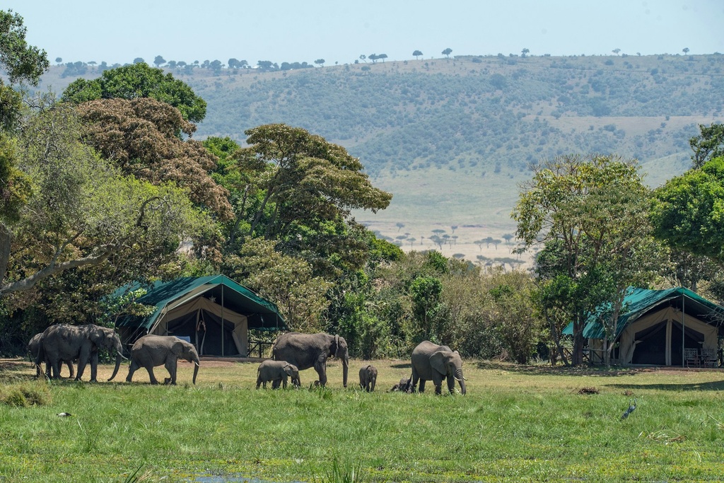 Wildlife & Safari Venues