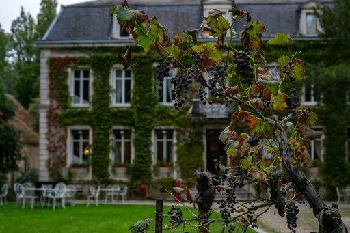 Wine Estate Venues