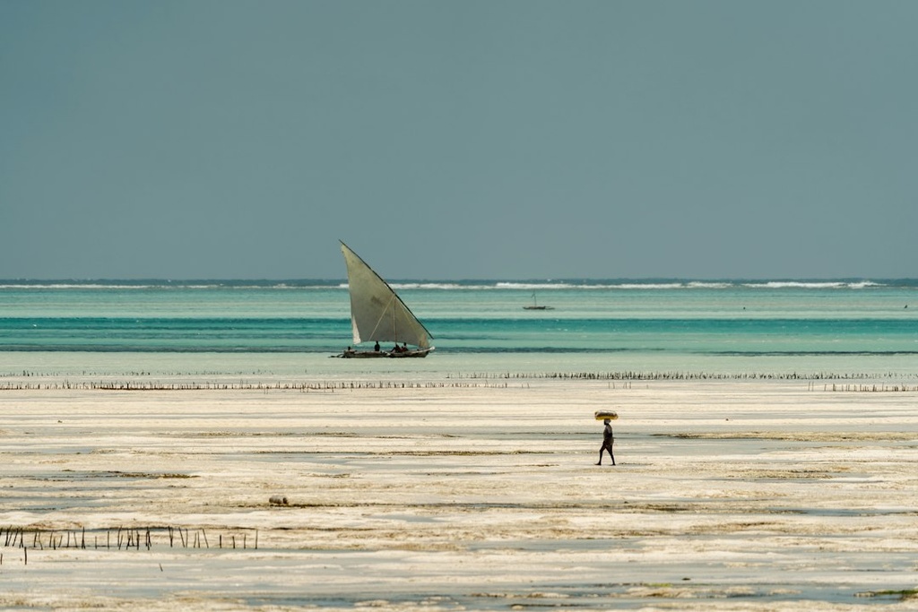 unsplash_CWbE5dUEhpE_zanzibar beach