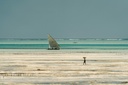 unsplash_CWbE5dUEhpE_zanzibar beach