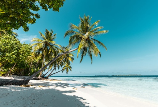 unsplash_BJ-FvNGCfEY_tropical beach holiday