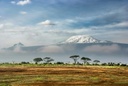unsplash_DWXR-nAbxCk_kenya safari