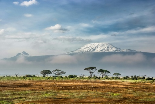 unsplash_DWXR-nAbxCk_kenya safari