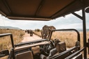 unsplash_nf7W_hn6DKQ_safari lodge