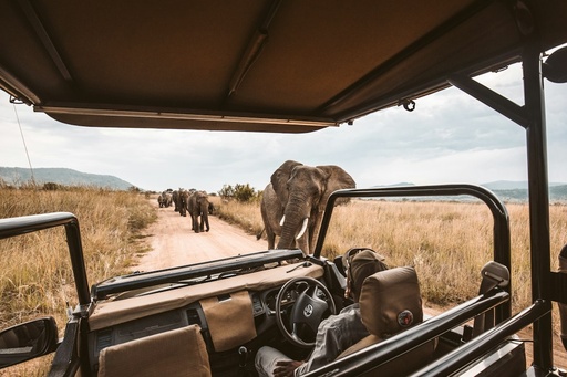 unsplash_nf7W_hn6DKQ_safari lodge