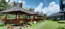 Gazebo Tents