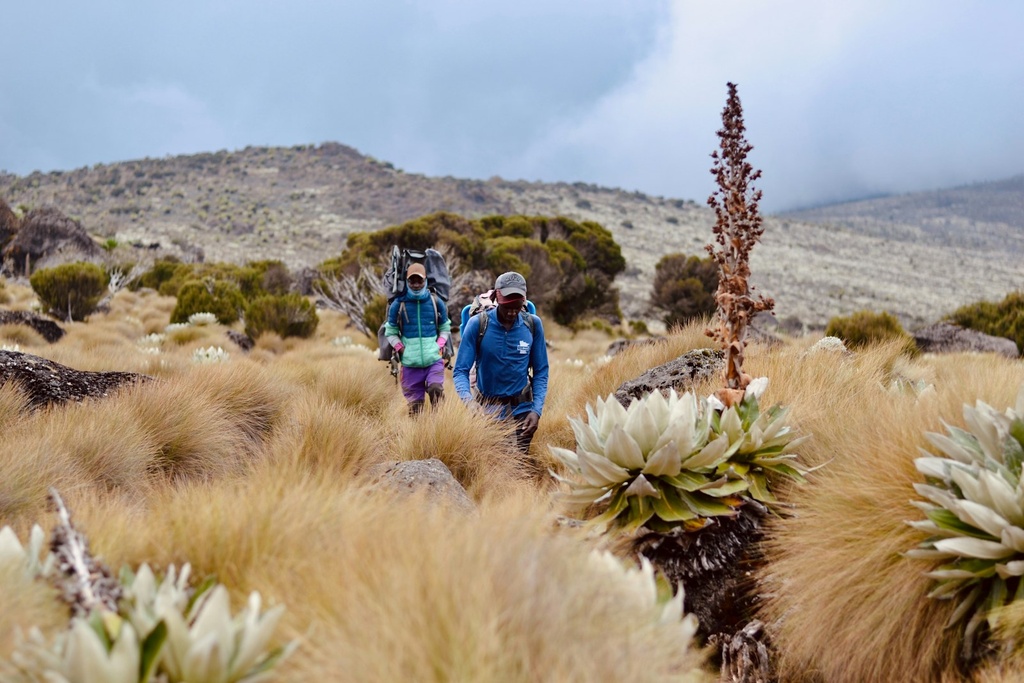 Adventure and Nature Holidays