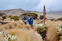 Adventure and Nature Holidays