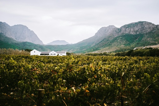 Cultural / Homestead Venues