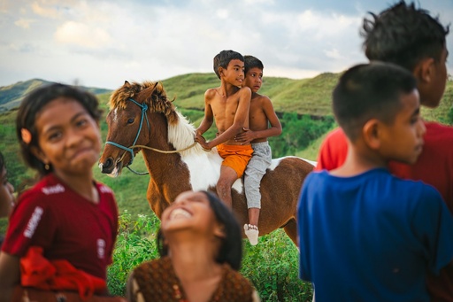 [EVENT-6:008] Pony and Animal Rides