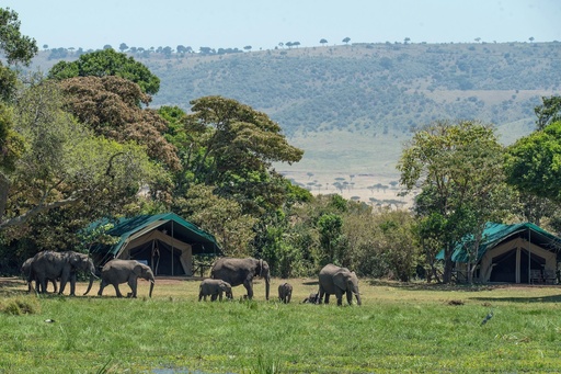 [EVENT-24:028] Wildlife & Safari Venues