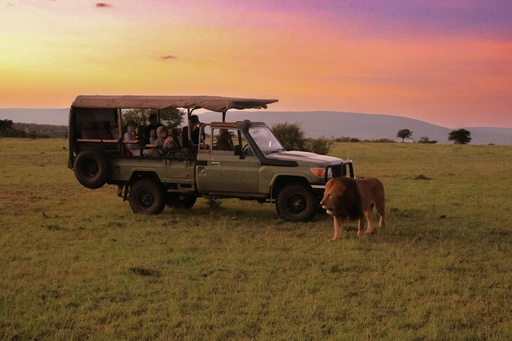 Safaris and Wildlife Holidays